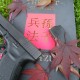 The Firearm and the Martial Artist