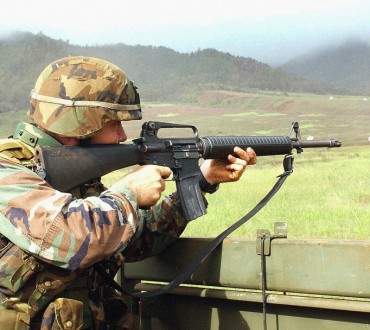 20 inch ar15