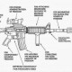 Picture: The Anatomy of Freedom