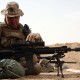 Why You Already Own a Special Purpose Rifle