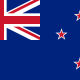 Lots of Kiwis Stopping By! Are You Curious About Your New Service Rifle?