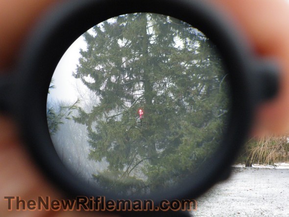 Post of the Week: Choosing the Right ACOG