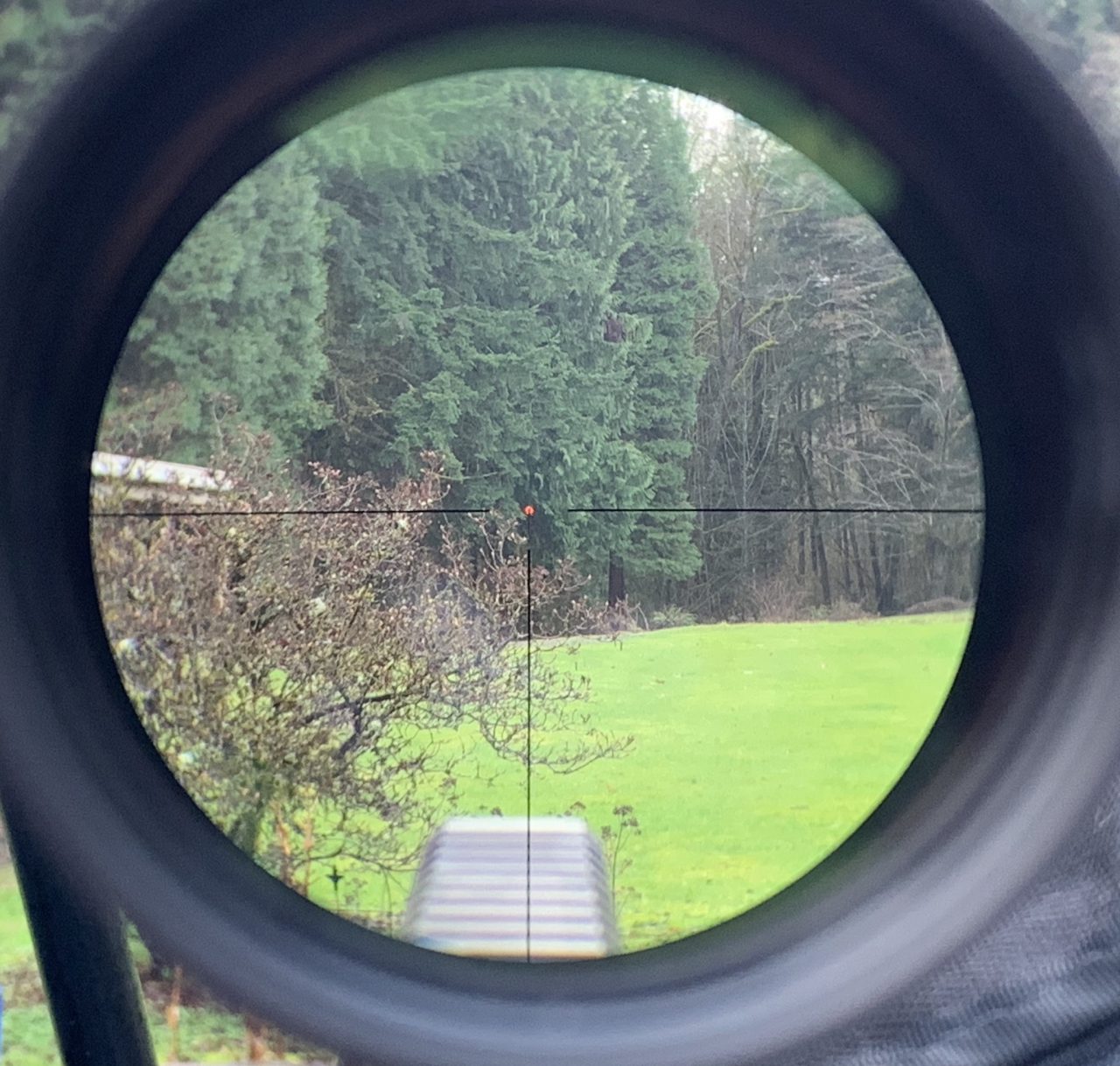 Reticle at 1x and about 5 or 6 illumination setting