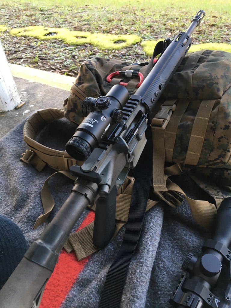 Hitting a 12-inch plate at 300 yards with Wolf Gold? no problem